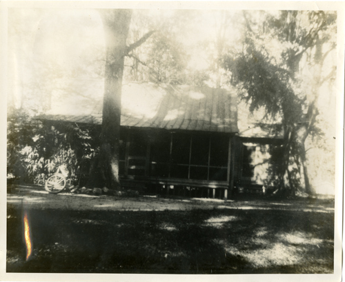 This cottage was built around 1880 and located among the pecan grove just north of the Call-Collins House. Ellen Call Long, The Grove's second owner, originally used the cottage for raising silkworms. The Collins family had the silk worm cottage torn down in the early 1950s. Prior to that, it was the home of Robert Aldridge, Reinette's business partner, who lived on The Grove property for many years before his death in 1952. Photo courtesy of Margaret Jensen