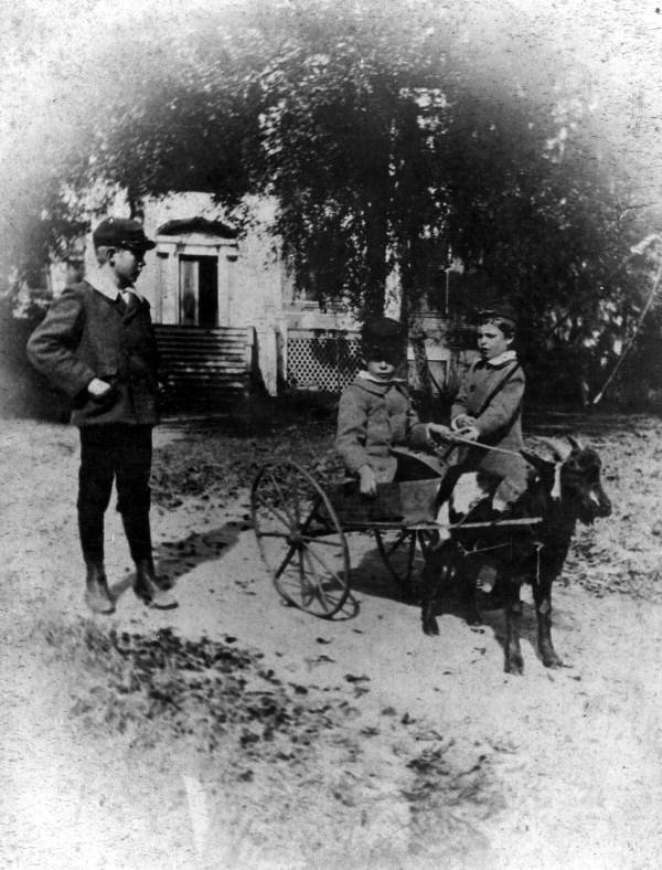 Three of Ellen Call Long's grandchildren with a goat cart at The Grove, ca. 1890. Photo courtesy of the State Archives of Florida.